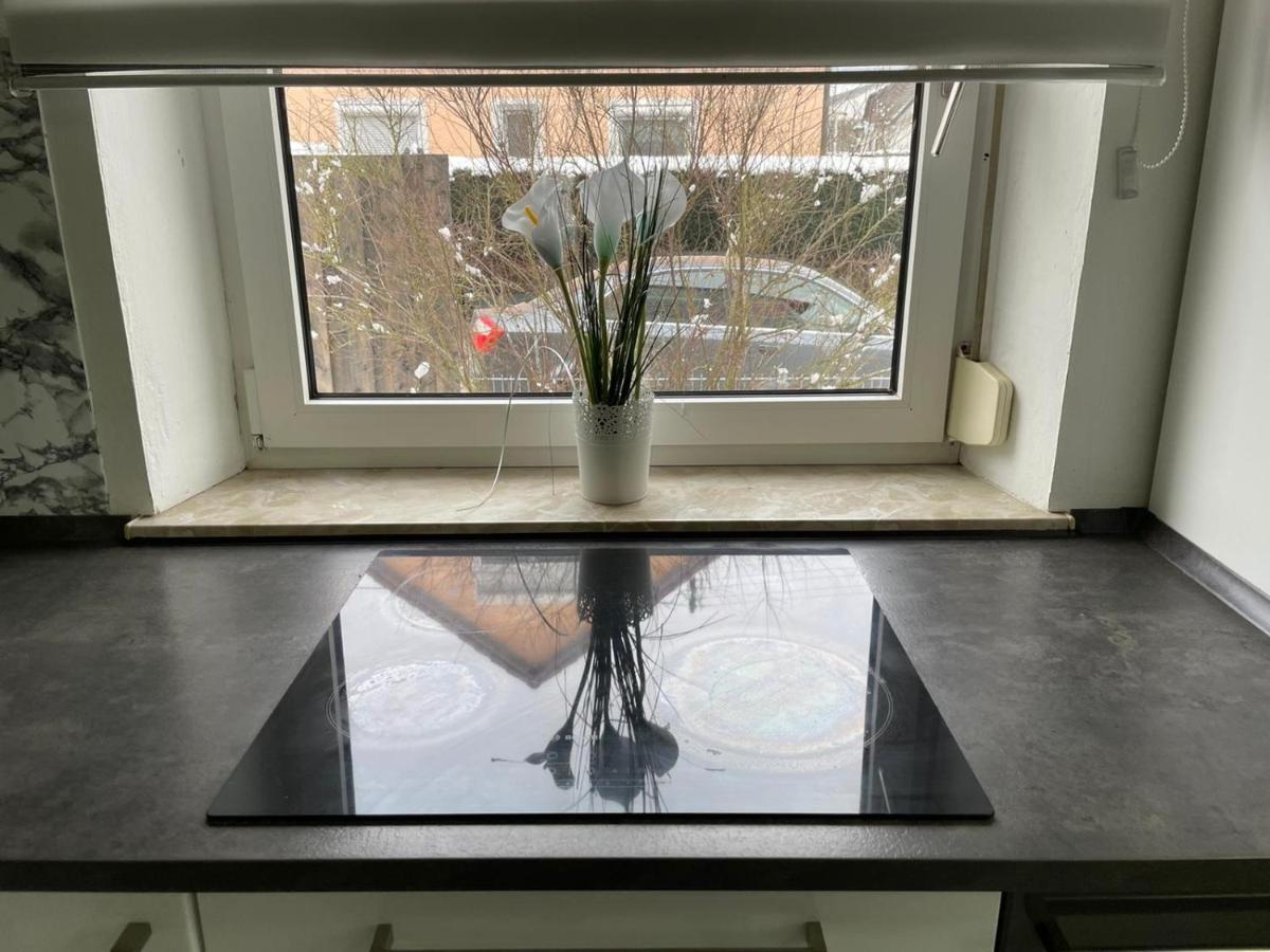 Guntia Apartment mit großem Garten Günzburg Exterior foto
